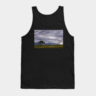 A Lone Tree Against the Storm Tank Top